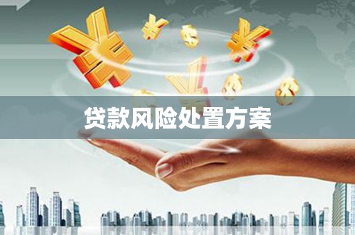 八宿贷款风险处置方案