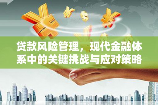 鸠江贷款风险管理，现代金融体系中的关键挑战与应对策略