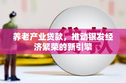 望城养老产业贷款，推动银发经济繁荣的新引擎