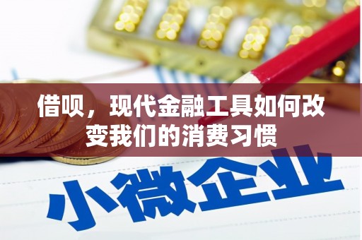 望城借呗，现代金融工具如何改变我们的消费习惯
