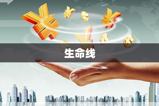 望城生命线