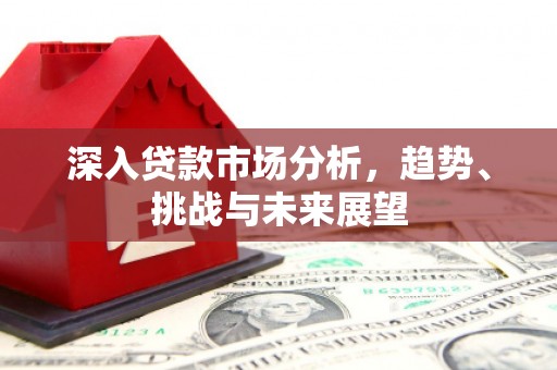 望城深入贷款市场分析，趋势、挑战与未来展望