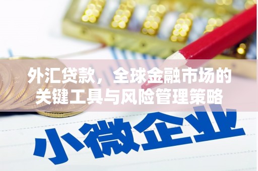 北京外汇贷款，全球金融市场的关键工具与风险管理策略