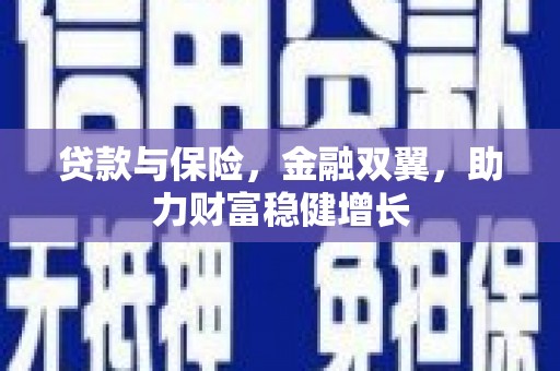 绥滨贷款与保险，金融双翼，助力财富稳健增长