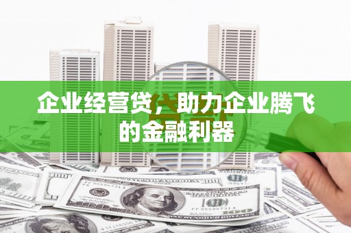 宁河企业经营贷，助力企业腾飞的金融利器