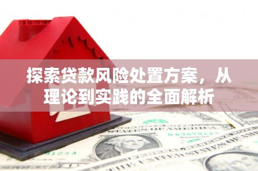 琼结探索贷款风险处置方案，从理论到实践的全面解析