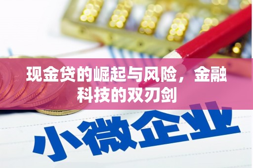 成武现金贷的崛起与风险，金融科技的双刃剑
