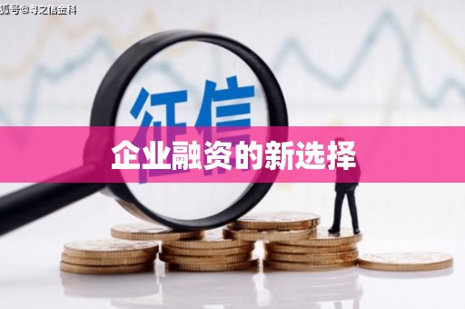 天峻企业融资的新选择