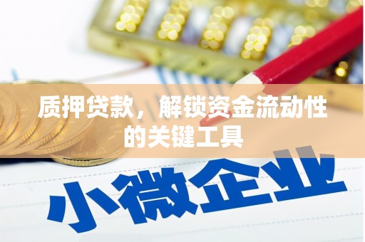 颍州质押贷款，解锁资金流动性的关键工具
