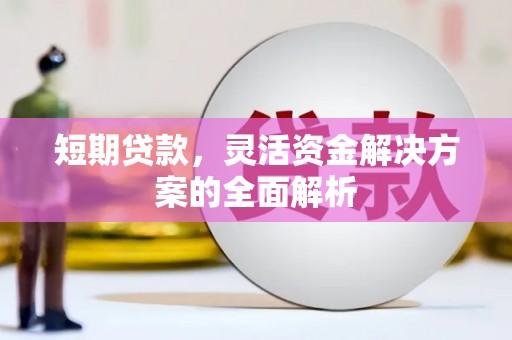 颍州短期贷款，灵活资金解决方案的全面解析