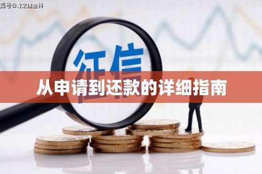 天峻从申请到还款的详细指南