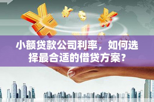 颍州小额贷款公司利率，如何选择最合适的借贷方案？