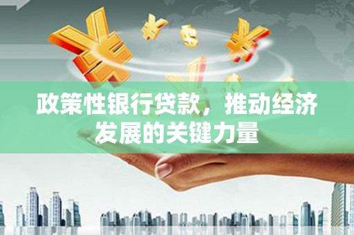 黄浦政策性银行贷款，推动经济发展的关键力量
