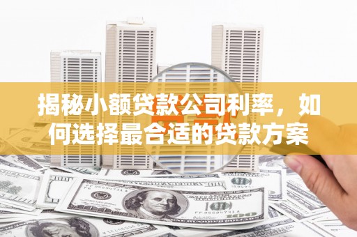 宁河揭秘小额贷款公司利率，如何选择最合适的贷款方案