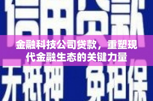 寮步金融科技公司贷款，重塑现代金融生态的关键力量