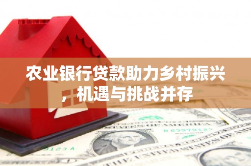 大湖农业银行贷款助力乡村振兴，机遇与挑战并存