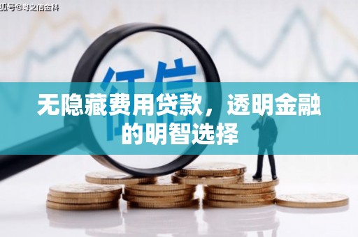 大湖无隐藏费用贷款，透明金融的明智选择