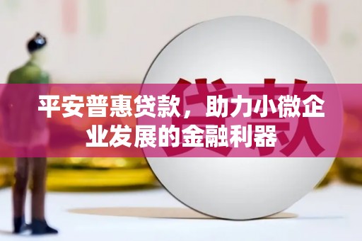 衡东平安普惠贷款，助力小微企业发展的金融利器