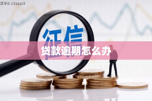 汾西贷款逾期怎么办