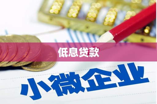 通河低息贷款