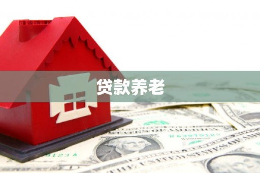 通河贷款养老