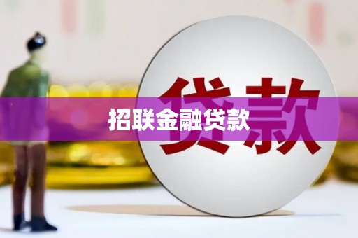 兴文招联金融贷款