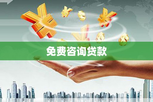 岚皋免费咨询贷款
