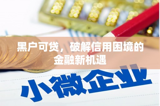 岚皋黑户可贷，破解信用困境的金融新机遇