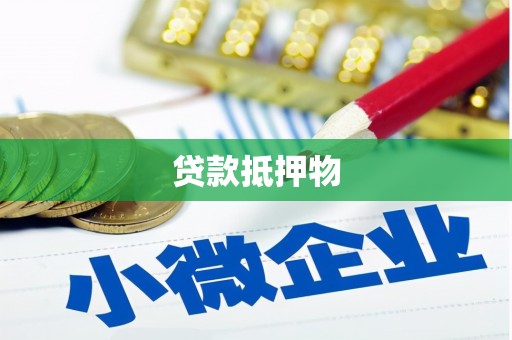 岚皋贷款抵押物