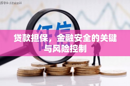 江阳贷款担保，金融安全的关键与风险控制