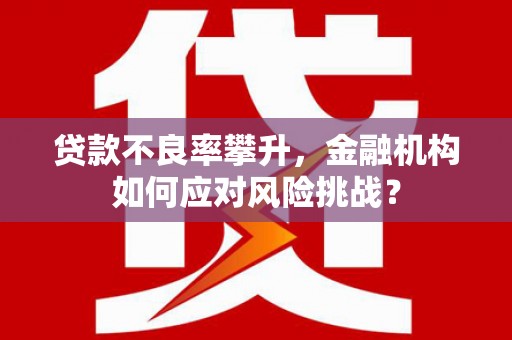 吉阳贷款不良率攀升，金融机构如何应对风险挑战？