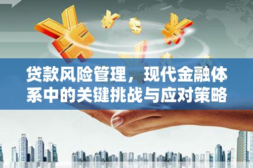 定海贷款风险管理，现代金融体系中的关键挑战与应对策略