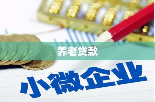 定海养老贷款