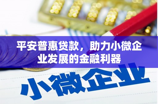 定海平安普惠贷款，助力小微企业发展的金融利器