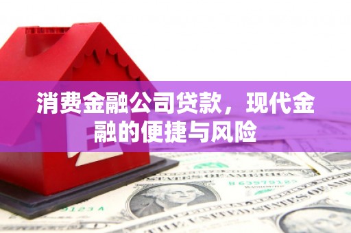 泰山消费金融公司贷款，现代金融的便捷与风险