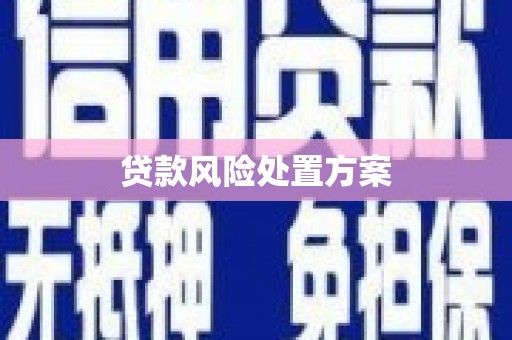泰山贷款风险处置方案