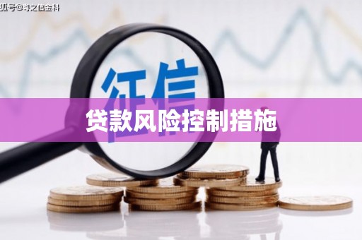 大安贷款风险控制措施