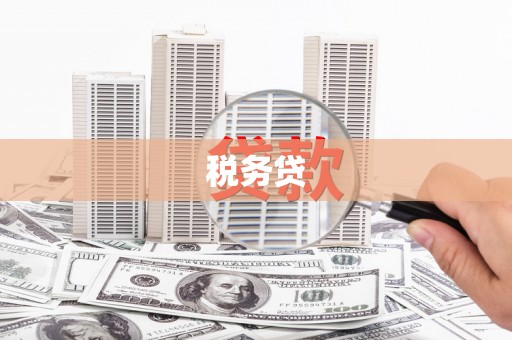 暖暖税务贷